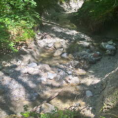 22-07-03 11-41-01 1336